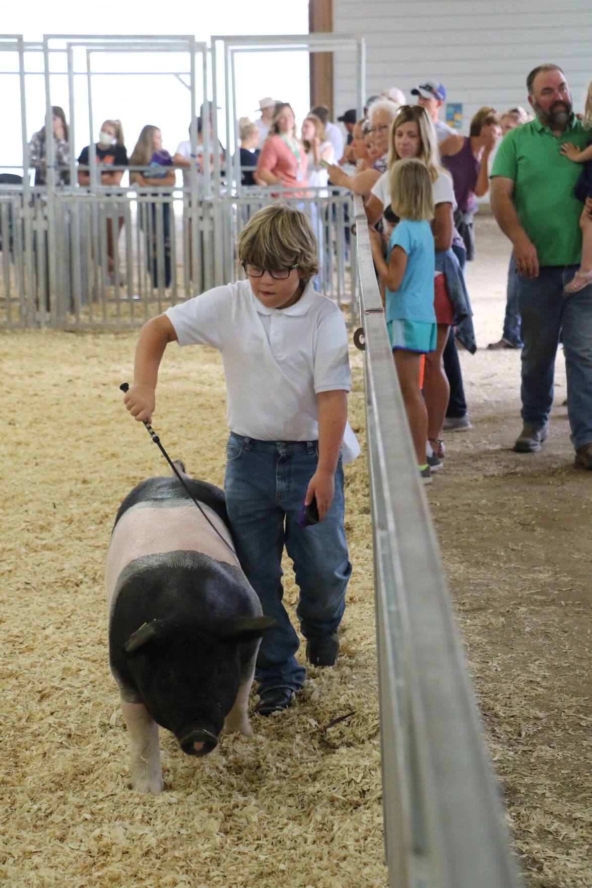 PHOTOS: Pig Showmanship